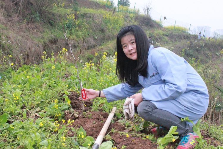 微特電子組織員工及家屬參加植樹節(jié)義務(wù)植樹活動(dòng)